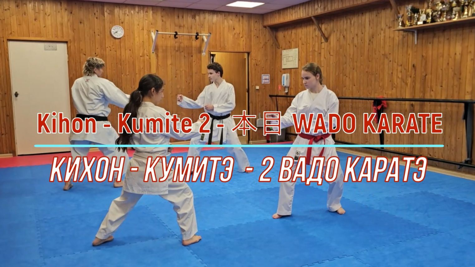 Кихон-кумитэ -2 ВАДО каратэ