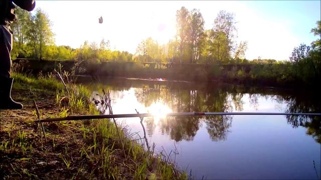 Выезд на рыбалку, есть улов!