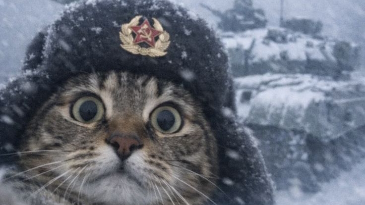 Арт рису