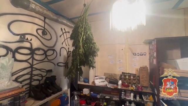 В подмосковном селе Иславское задержан житель Кубани устроивший в гаражном боксе наркооранжерею