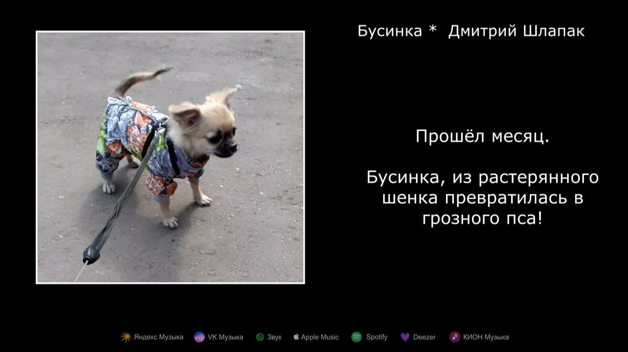 Бусинка. Взросление.