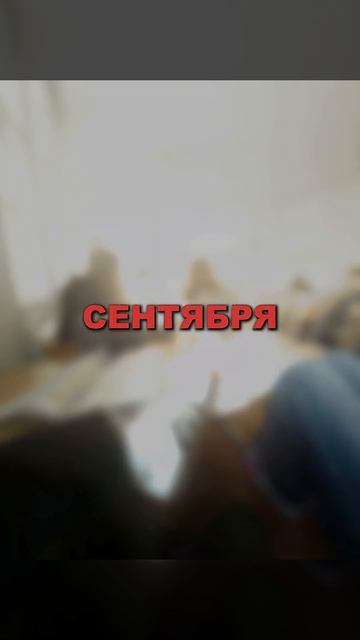 Михаил Шуфутинский - Третье сентября  #short #shorts