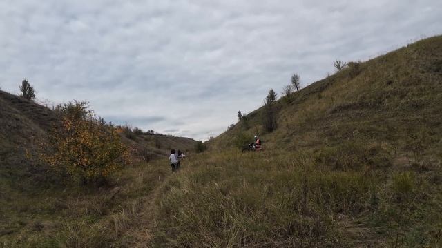 Покатали попадали