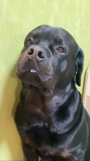 Блин, опять спалился