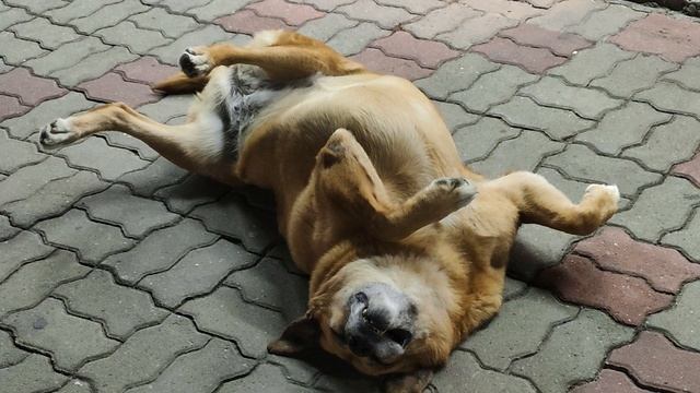 Лазаревское НАБЕРЕЖНАЯ без цензуры🔞
