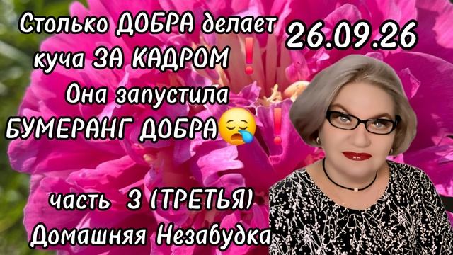 3 часть. Сколько ДОБРА делает куча ЗА КАДРОМ❗️Она запустила БУМЕРАНГ ДОБРА ❗️