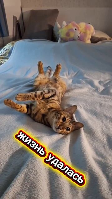 жизнь удалась