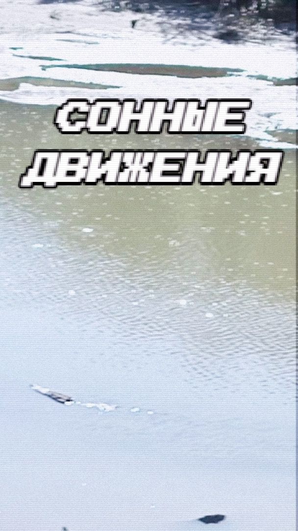 Сонные движения (клип)