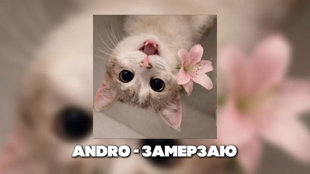 ПЛЕЙЛИСТ РАНДОМНЫХ ТРЕКОВ #6