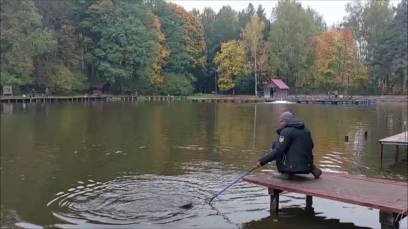 Сегодня форель лучше отзывается на резину. Клёвое место, Лосиный остров, верхний водоём.