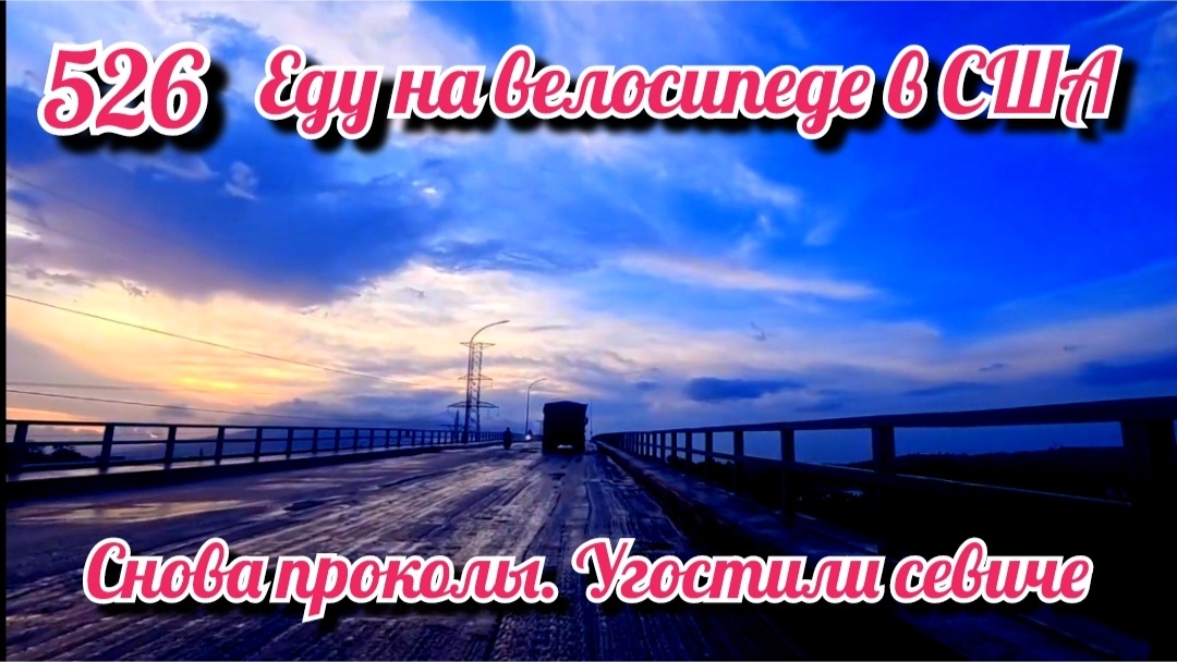 Снова проколы. Угостили севиче. Еду на велосипеде в США. День 525.