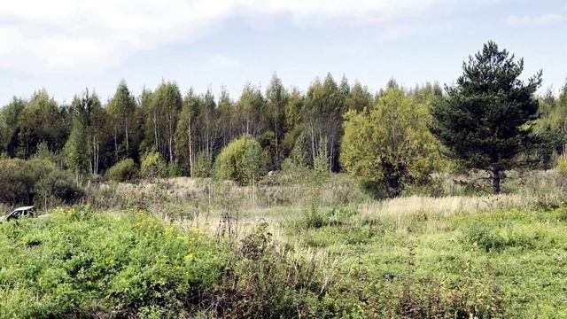 19.09.2026  Глазовтренировка багги д3-250 и Д2К