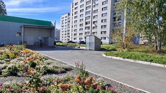 Рыночной день.26 сентября/ Кросс наций/Сколько мы заработали на рынке.