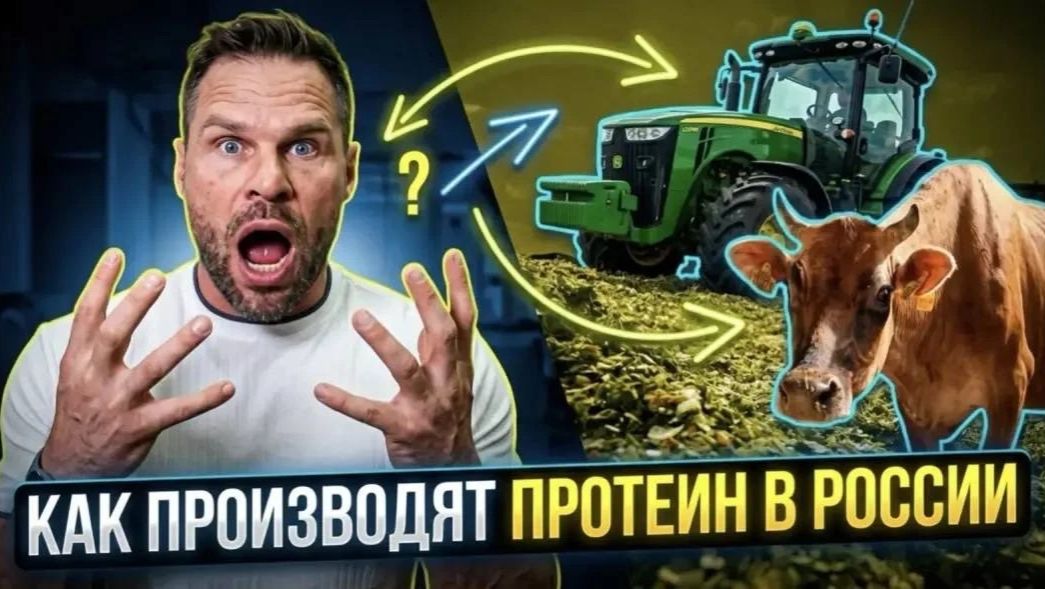 Как производят ПРОТЕИН в РОССИИ?