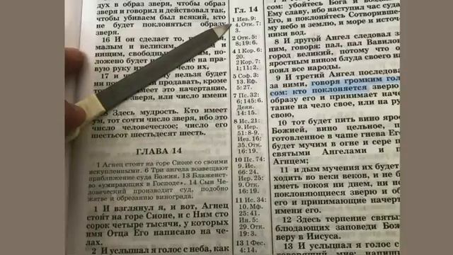 04.  Последний шанс для спасения! Что говорит Библия?  