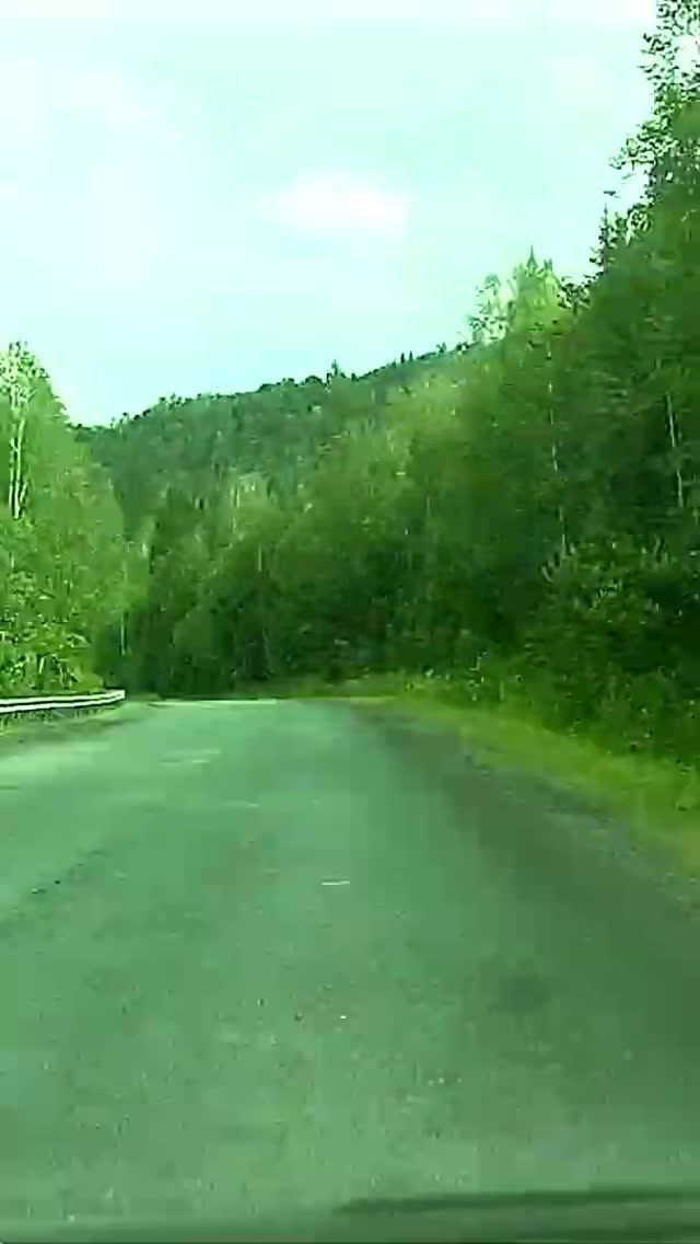 Таймлапс-дорога в горах #история #history #лес #память