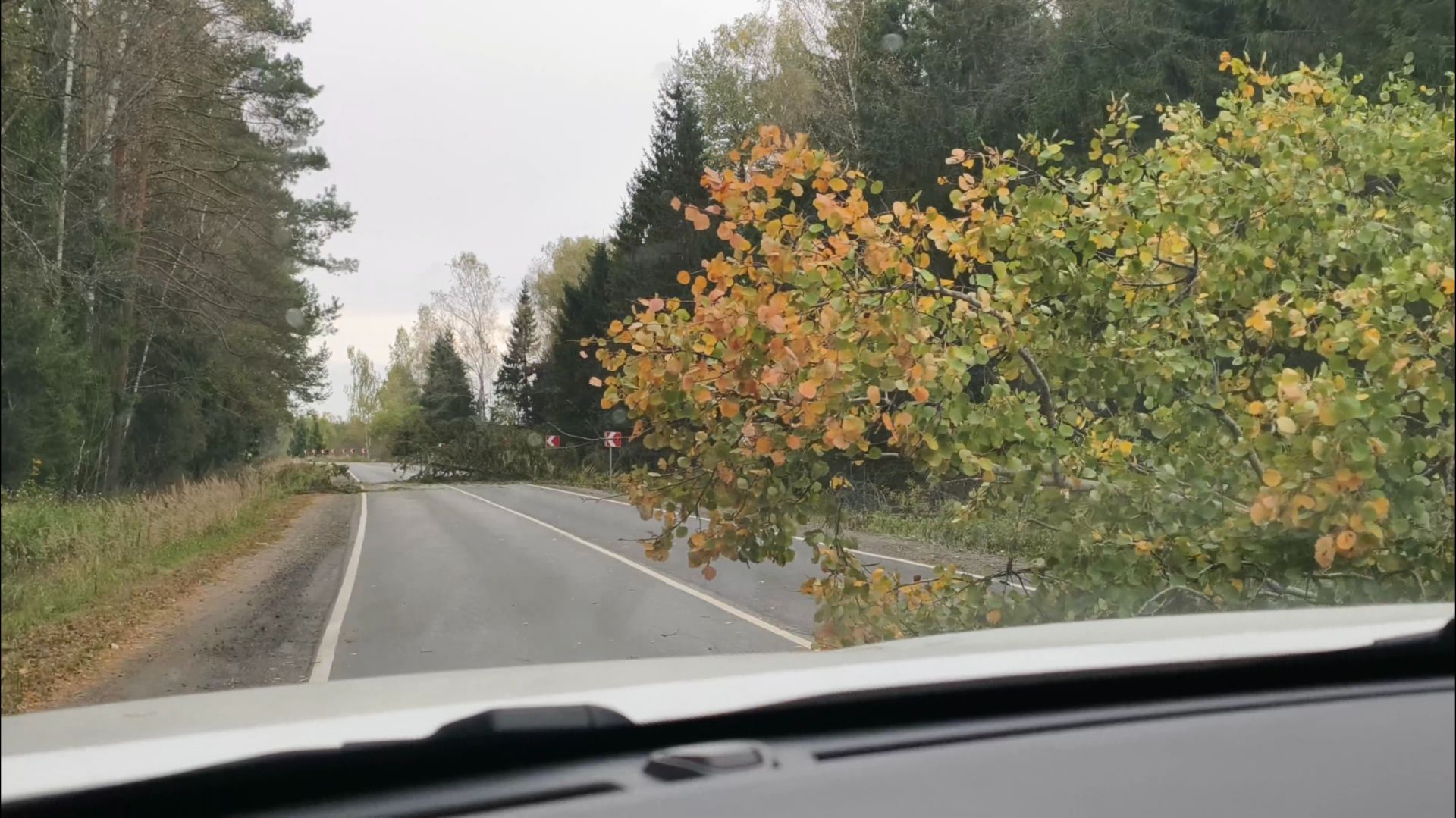 Опасность подстерегает на каждом шагу... Жду вторую волну... 