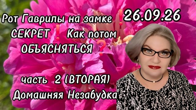 2 часть. Рот Гаврилы 👄 НА ЗАМКЕ❗️Секреты❗️Как потом ОБЪЯСНЯТЬСЯ❓️