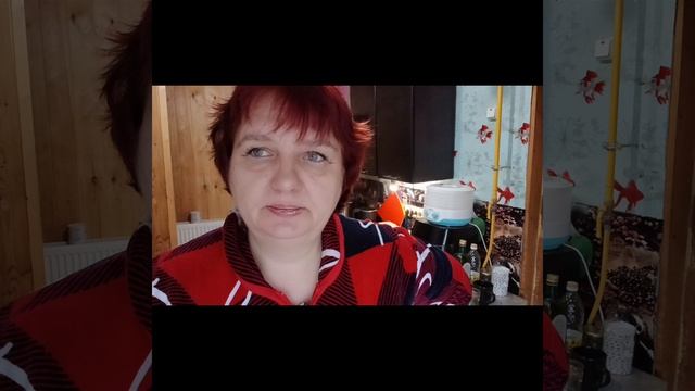 Щука тушёная с луком, пюре. Гуляем с Чарликом и гусикам 😀😀😀