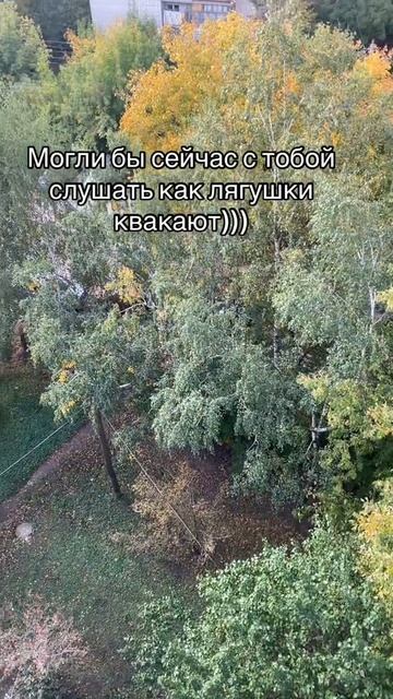 лягушки квакают)))