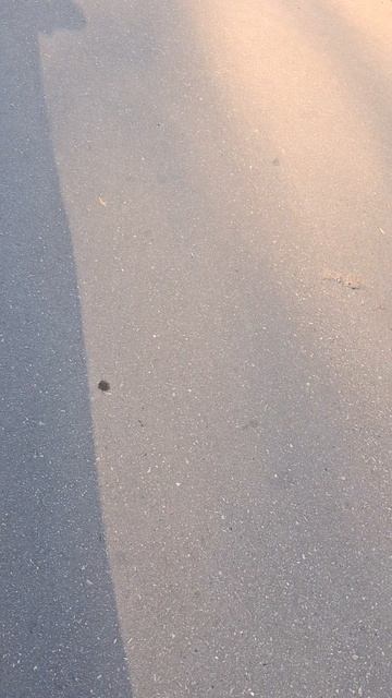 1000005743.mp4