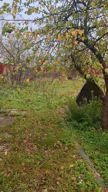 начало субботы показ дом в Голицыно #свой_дом