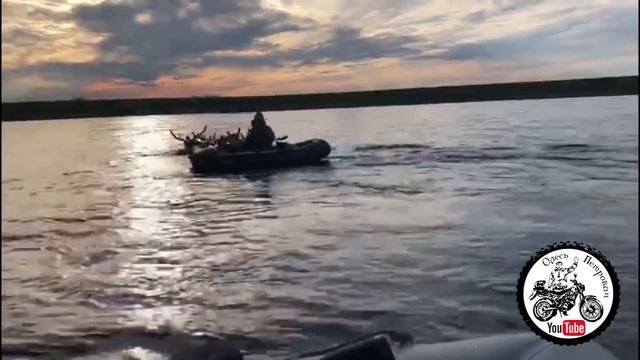 ПРИВЕТ СОЧИ 👋🏻