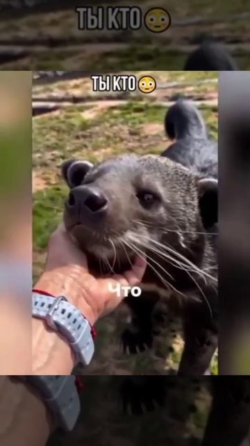 кто ты