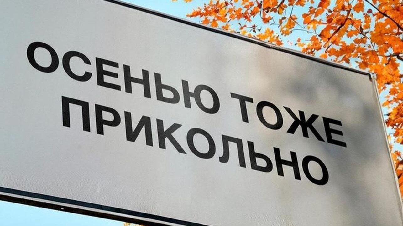 💥 Осенний вайб: ловим настроение сезона💥
