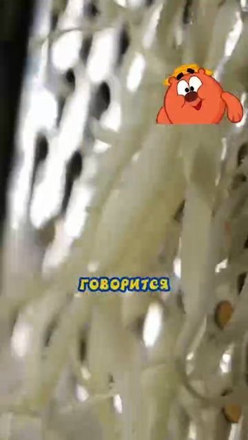 Рецепт ролл-пиццы от Копатыча