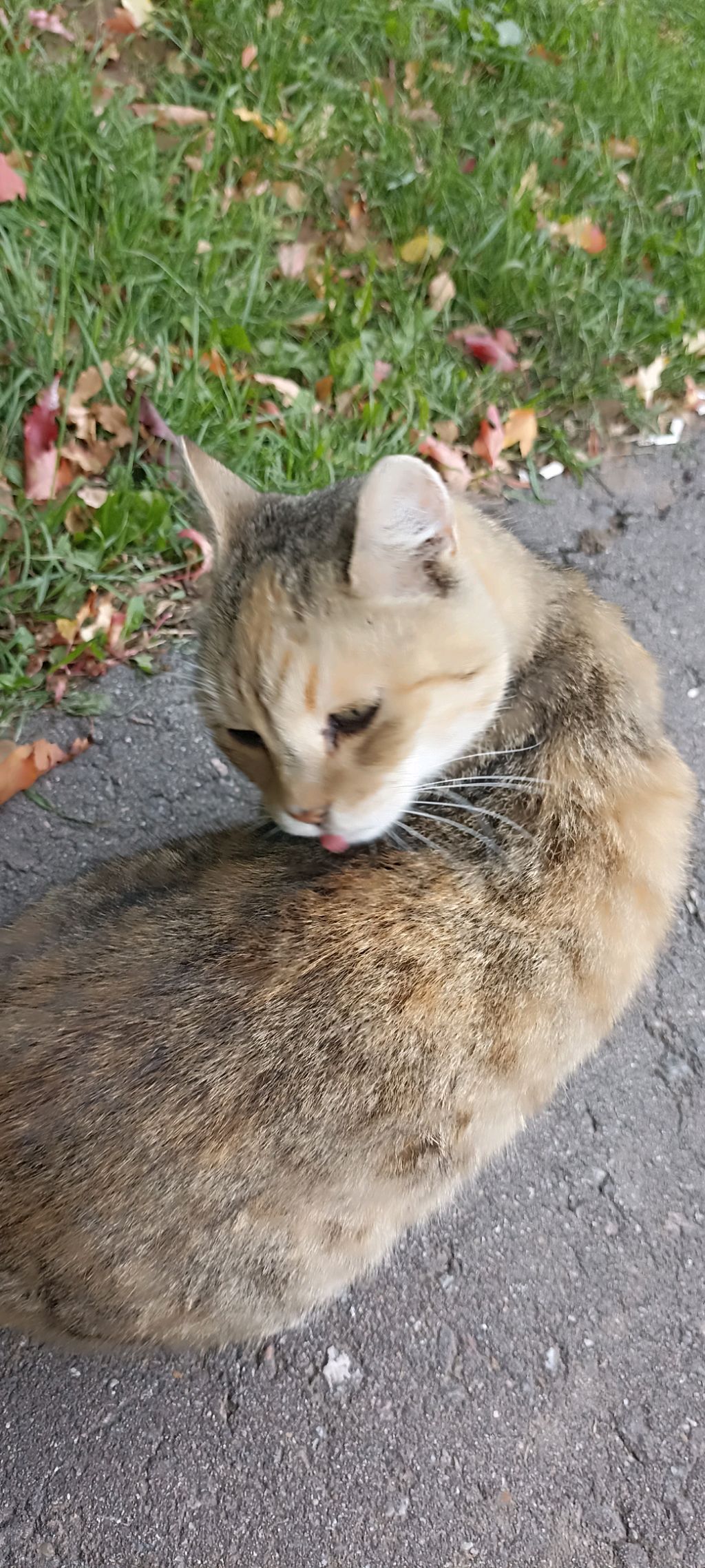 оо
