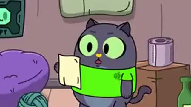 привет это кот на чижик телеканале