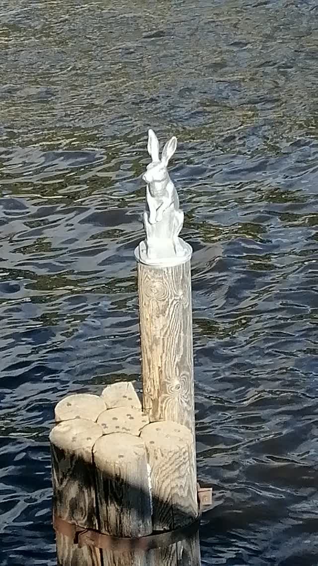 Зайка перед Петропавловской крепостью