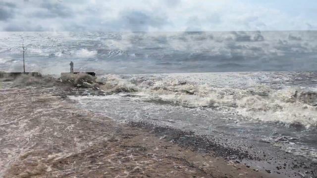 Зеленогорск 2024.08.24