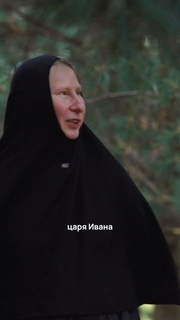 Уникальное насаждение кедров и сибирских сосен!