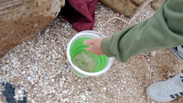 Набрал воды для Бычка