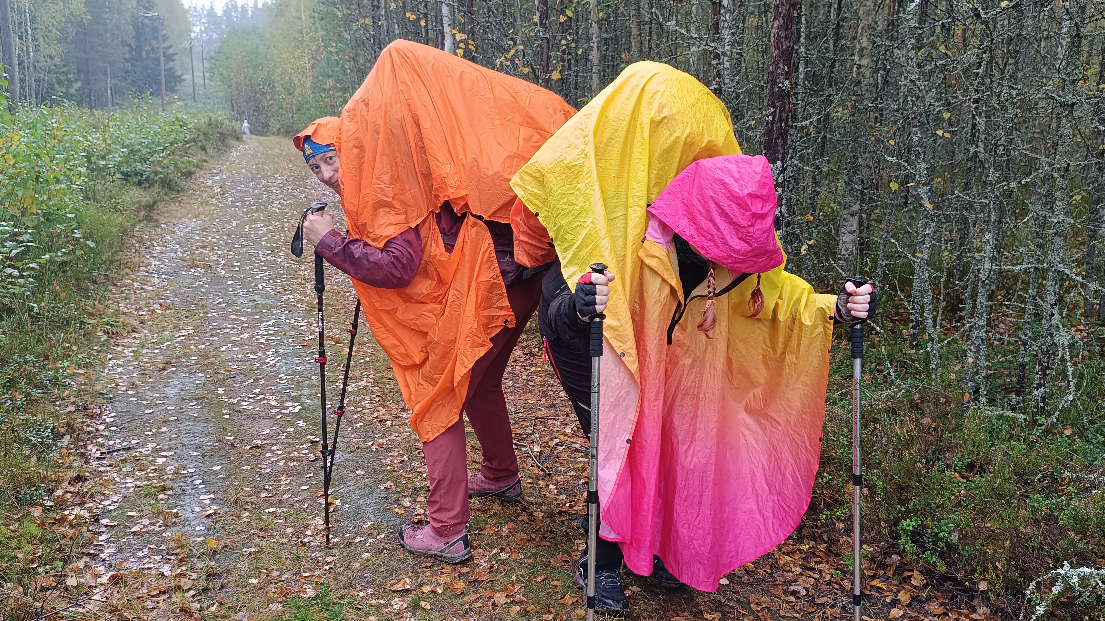 осеняя пешая в Пятиярви 🥾🏕