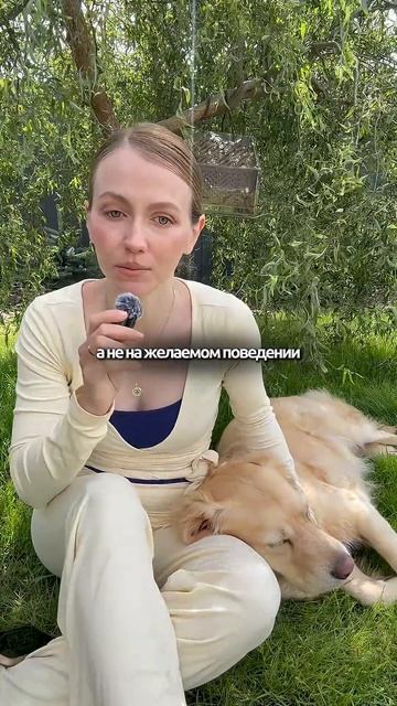 Перестаньте запрещать часть 1 кинолог собака охранадома животные суперсобака собаки топ