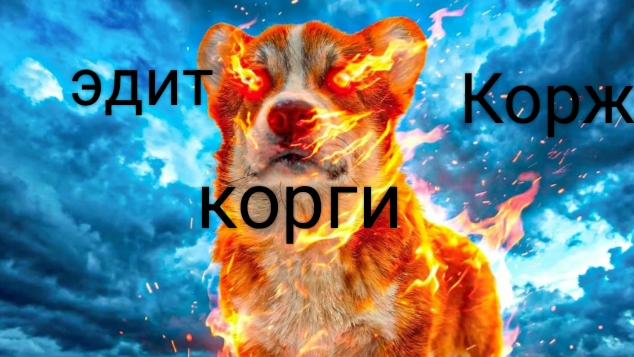 Эдит Корги_Коржик