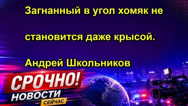 Загнанный в угол хомяк не становится даже крысой. Андрей Школьников