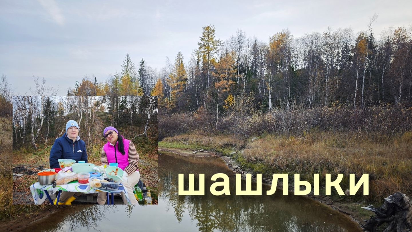 Шашлыки с друзьями  это отличный способ отдохнуть на природе пообщаться и насладиться вкусной едой