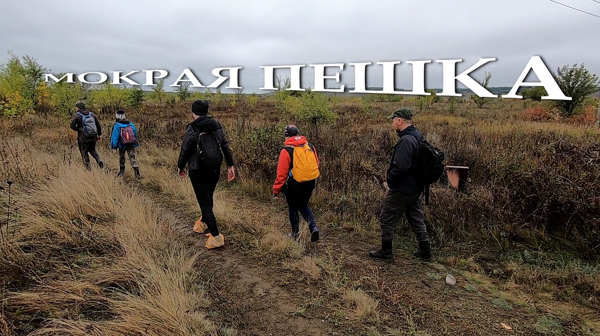 Мокрая пешка