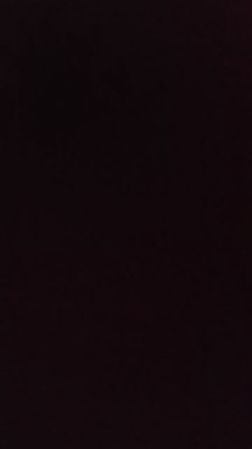 1481.mp4