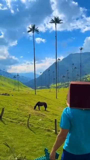 майнкрафт в реальной жизни🫪