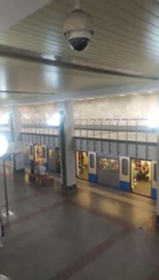 Станция метро Бульвар Дмитрия Донского интерьер пассажиры поезда Москва Фрагмент 2