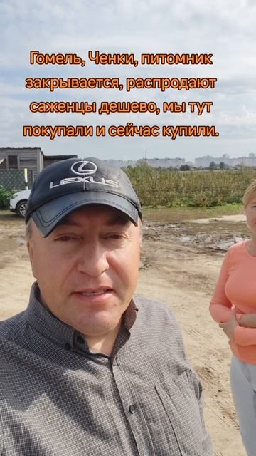 Гомель питомник закрывается