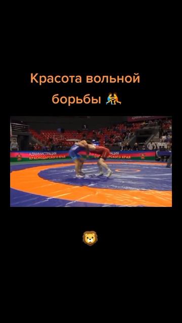 красота вольной борьбы