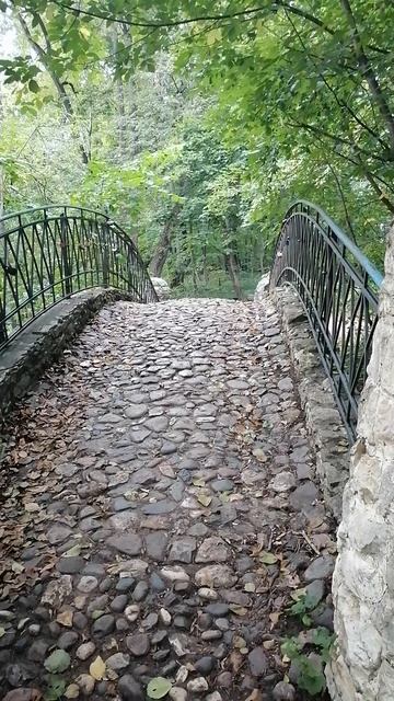 Парк Кузьминки (4)