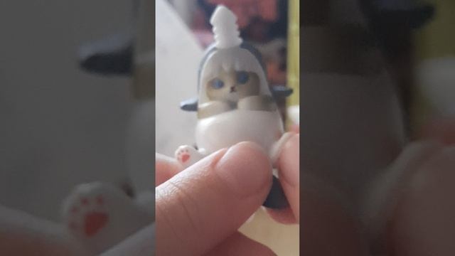 Распоковка котиков