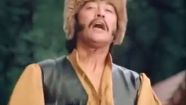 2572.mp4